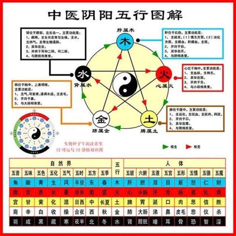 五行 意思|五行（中医术语）